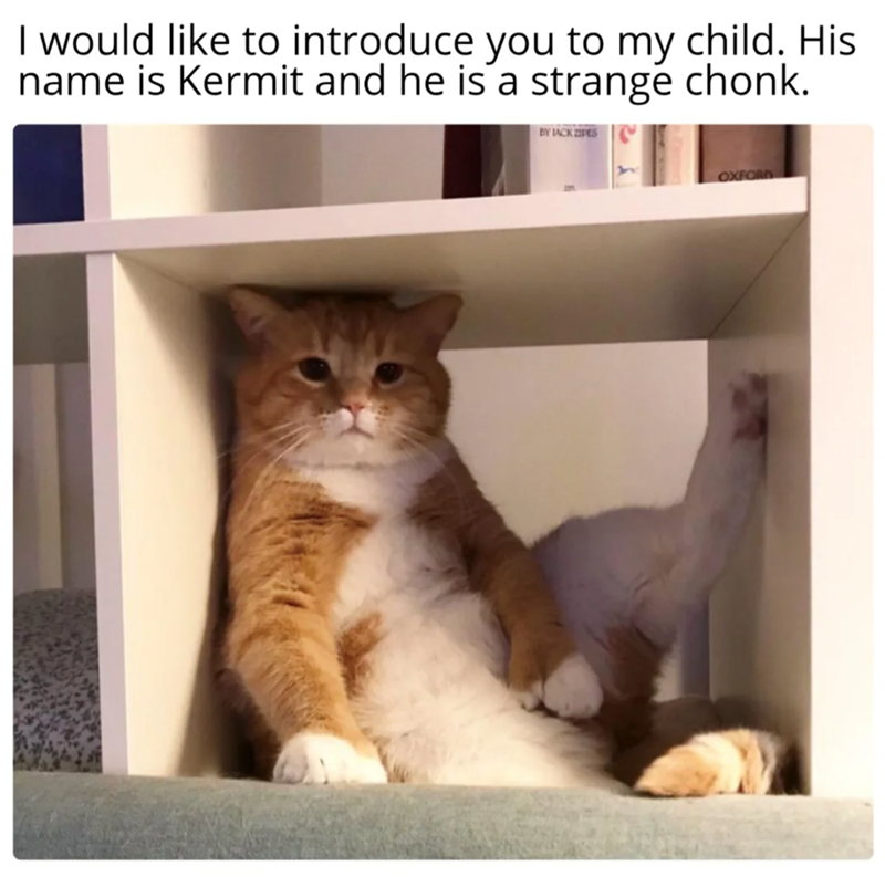I would like to introduce you to my child. His name is Kermit and he is a strange chonk. BY JACK ZIPES OXFORD