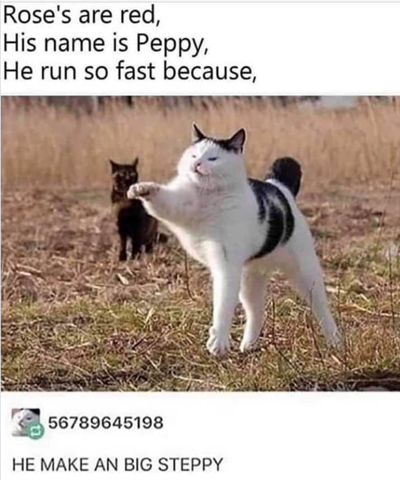 Rose's are red, His name is Peppy, He run so fast because, 56789645198 HE MAKE AN BIG STEPPY
