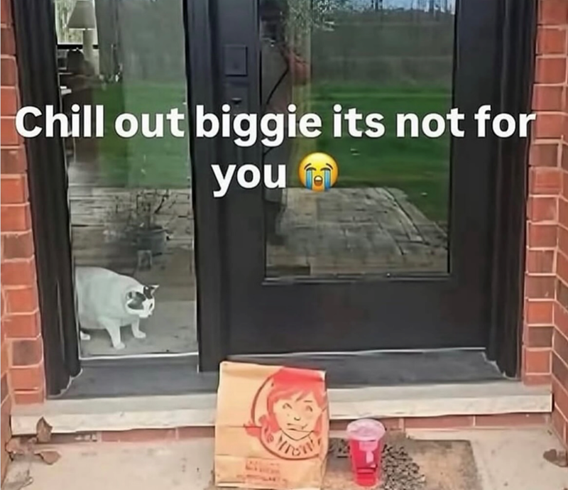 Chill out biggie its not for you