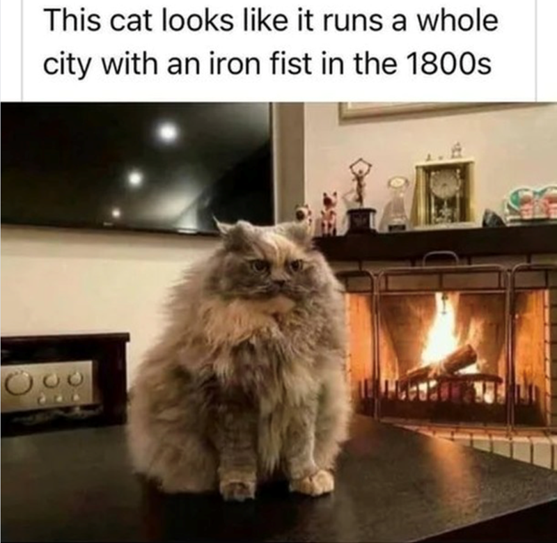 This cat looks like it runs a whole city with an iron fist in the 1800s
