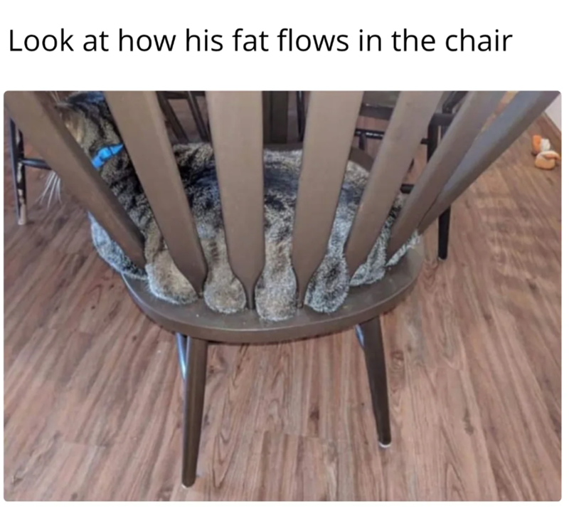 Look at how his fat flows in the chair