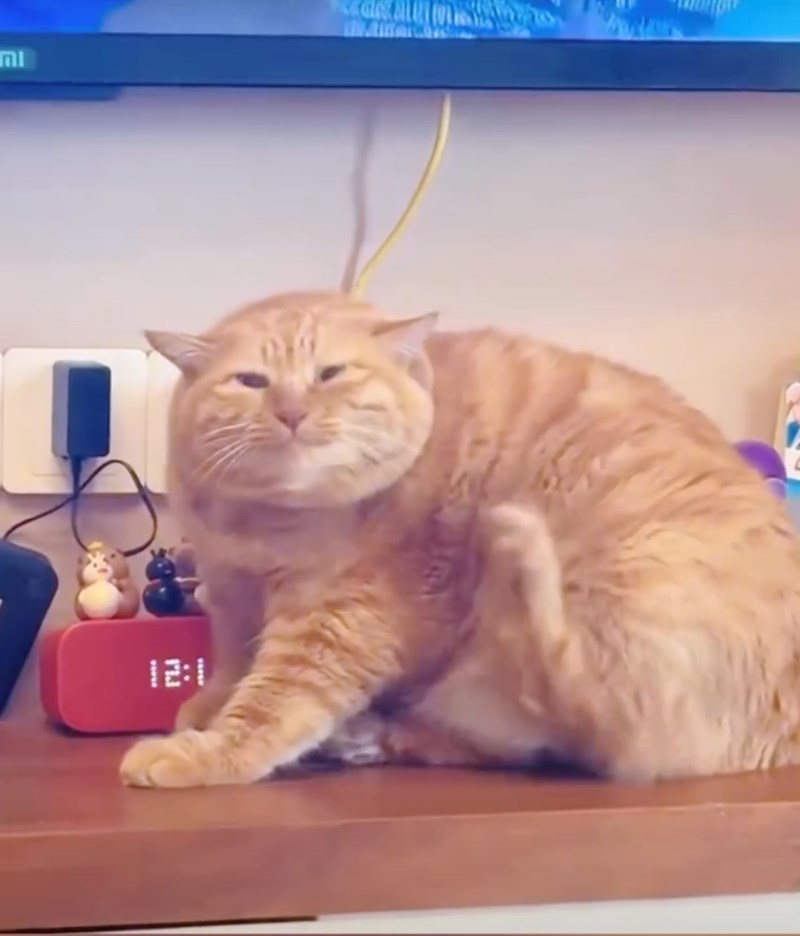 12:1