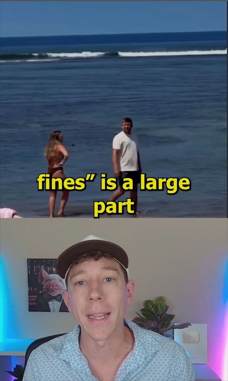 fines" is a large part
