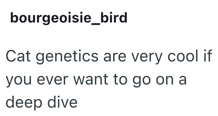bourgeoisie_bird Cat genetics are very cool if you ever want to go on a deep dive