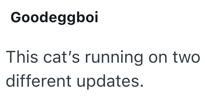 Goodeggboi This cat's running on two different updates.