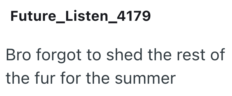 Future_Listen_4179 Bro forgot to shed the rest of the fur for the summer