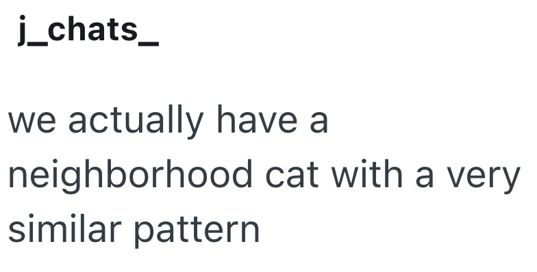 j_chats_ we actually have a neighborhood cat with a very similar pattern