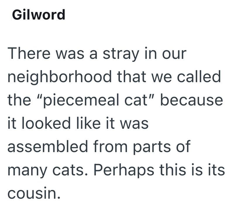 Gilword There was a stray in our neighborhood that we called the "piecemeal cat" because it looked like it was assembled from parts of many cats. Perhaps this is its cousin.
