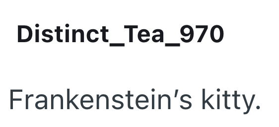 Distinct_Tea_970 Frankenstein's kitty.