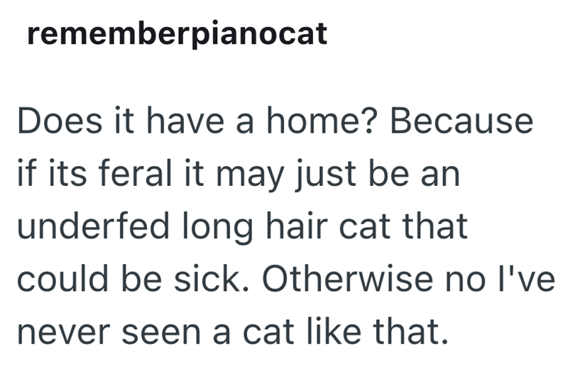 rememberpianocat Does it have a home? Because if its feral it may just be an underfed long hair cat that could be sick. Otherwise no I've never seen a cat like that.