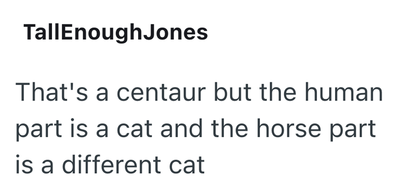 TallEnough Jones That's a centaur but the human part is a cat and the horse part is a different cat