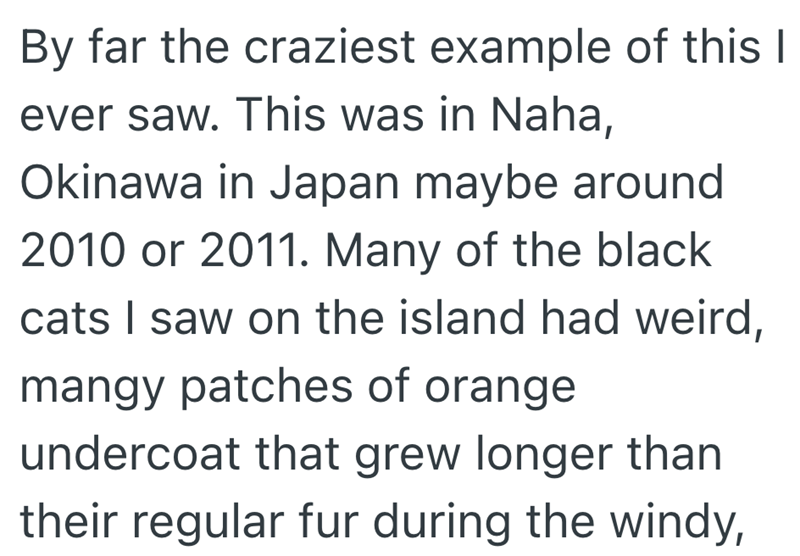 By far the craziest example of this I ever saw. This was in Naha, Okinawa in Japan maybe around 2010 or 2011. Many of the black cats I saw on the island had weird, mangy patches of orange undercoat that grew longer than their regular fur during the windy,