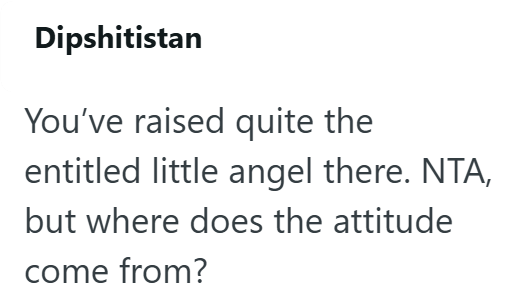 Dipshitistan You've raised quite the entitled little angel there. NTA, but where does the attitude come from?