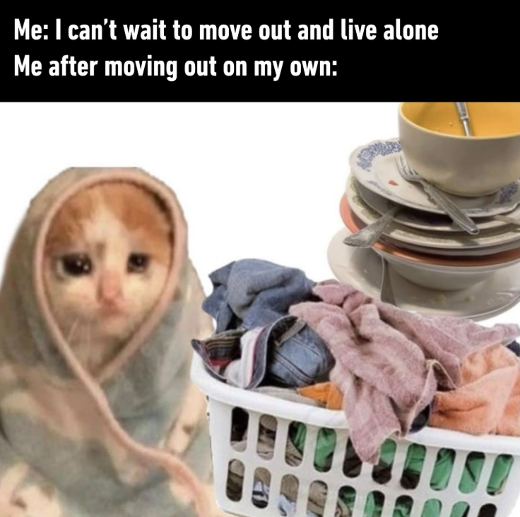 Me: I can't wait to move out and live alone Me after moving out on my own: