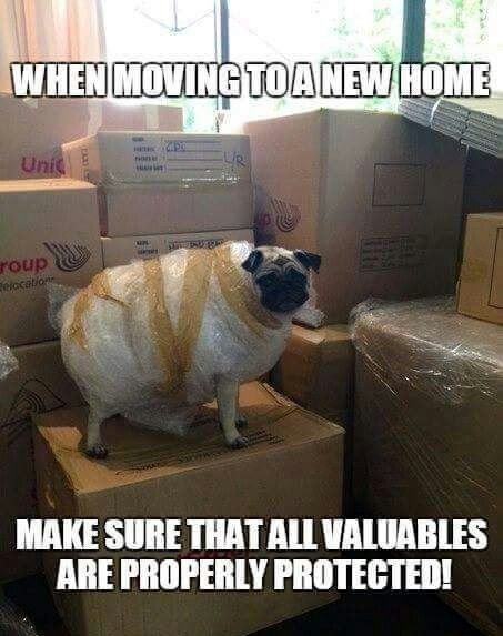 WHEN MOVING TO A NEW HOME Unic Group Relocation DARPLY MAKE SURE THAT ALL VALUABLES ARE PROPERLY PROTECTED!