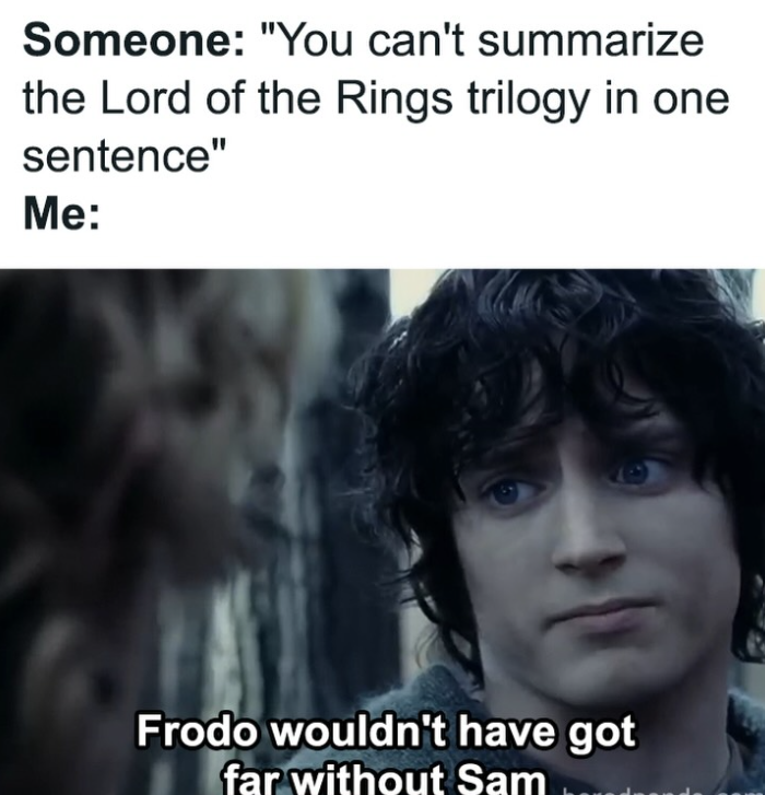 Someone: "You can't summarize the Lord of the Rings trilogy in one sentence" Me: Frodo wouldn't have got far without Sam