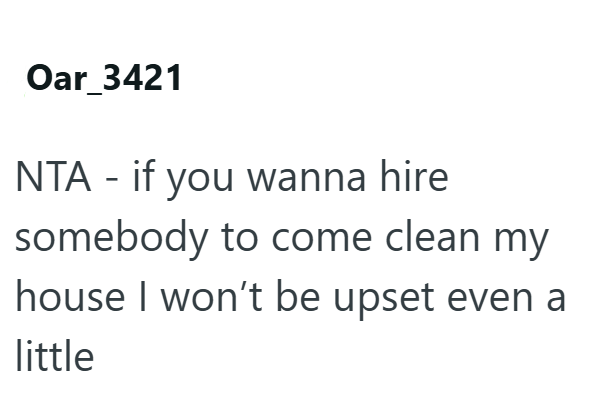Oar_3421 NTA - if you wanna hire somebody to come clean my house I won't be upset even a little