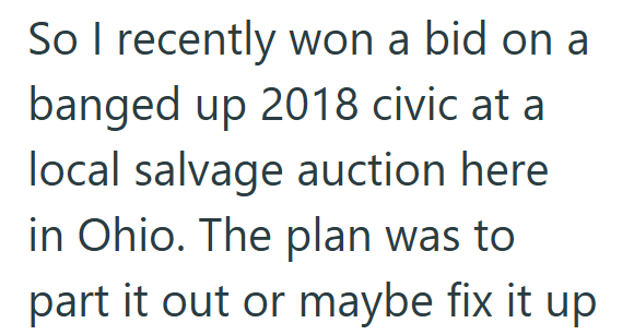 So I recently won a bid on a banged up 2018 civic at a local salvage auction here in Ohio. The plan was to part it out or maybe fix it up