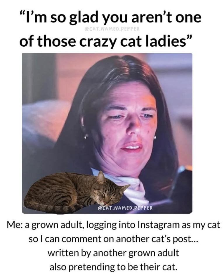 "I'm so glad you aren't one @CAT.NAMED.PEPPER of those crazy cat ladies" @CAT.NAMED PEPPER Me: a grown adult, logging into Instagram as my cat so I can comment on another cat's post... written by another grown adult also pretending to be their cat.
