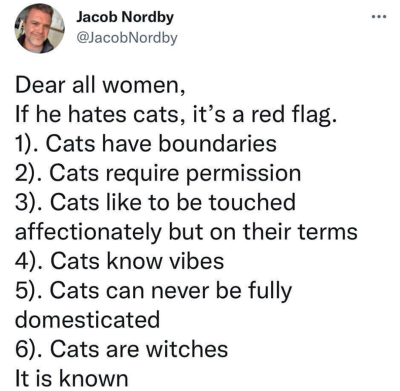 Jacob Nordby @JacobNordby Dear all women, If he hates cats, it's a red flag. 1). Cats have boundaries 2). Cats require permission 3). Cats like to be touched affectionately but on their terms 4). Cats know vibes 5). Cats can never be fully domesticated 6). Cats are witches It is known