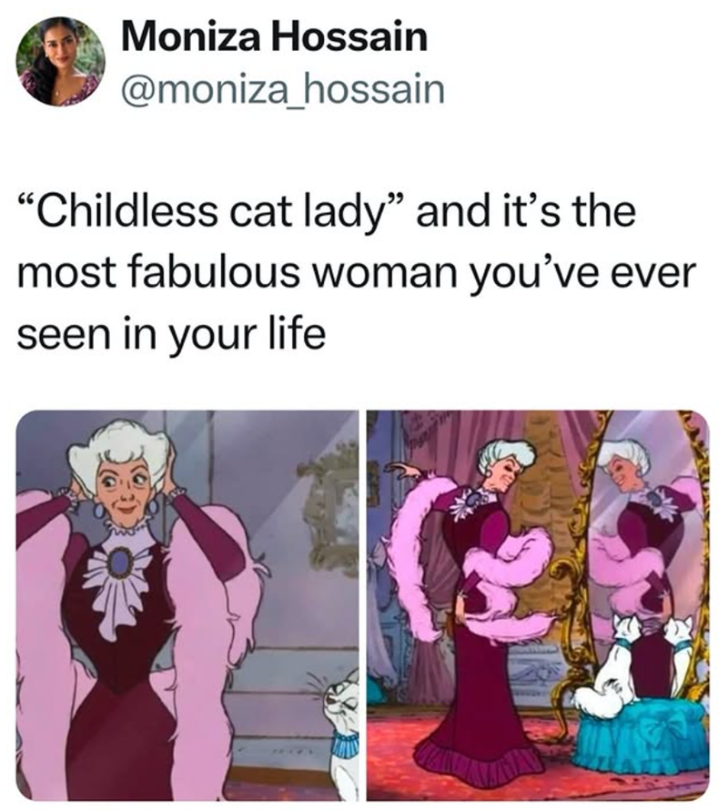 Moniza Hossain @moniza_hossain "Childless cat lady" and it's the most fabulous woman you've ever seen in your life
