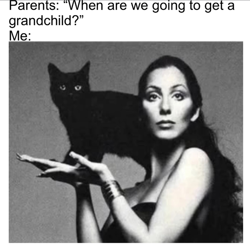 Parents: "When are we going to get a grandchild?" Me: