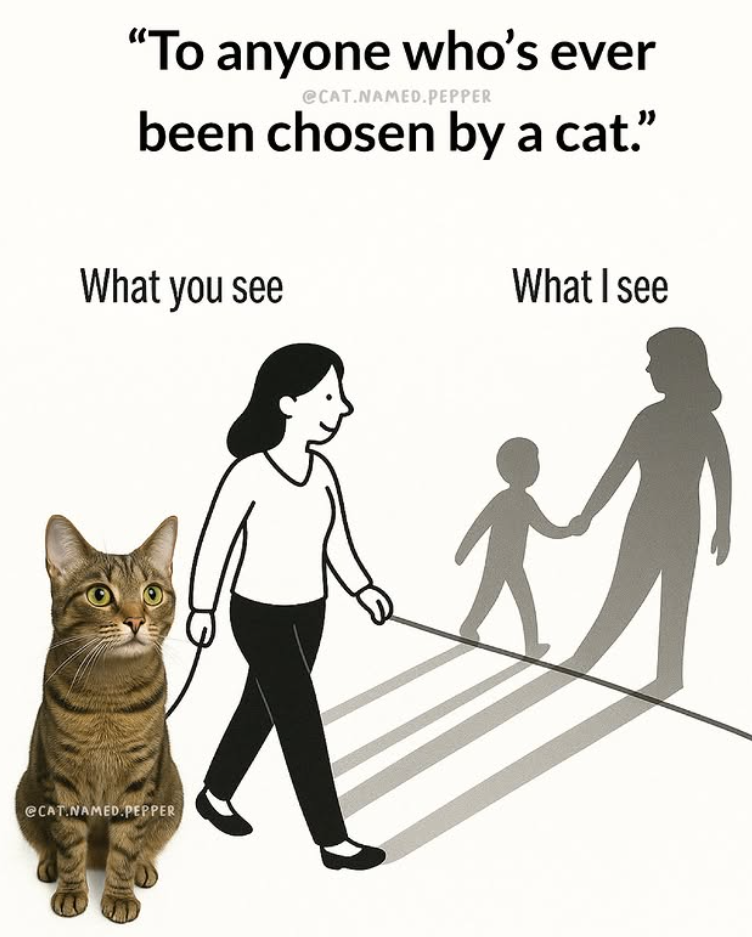 "To anyone who's ever @CAT.NAMED.PEPPER been chosen by a cat." What you see What I see @CAT NAMED PEPPER