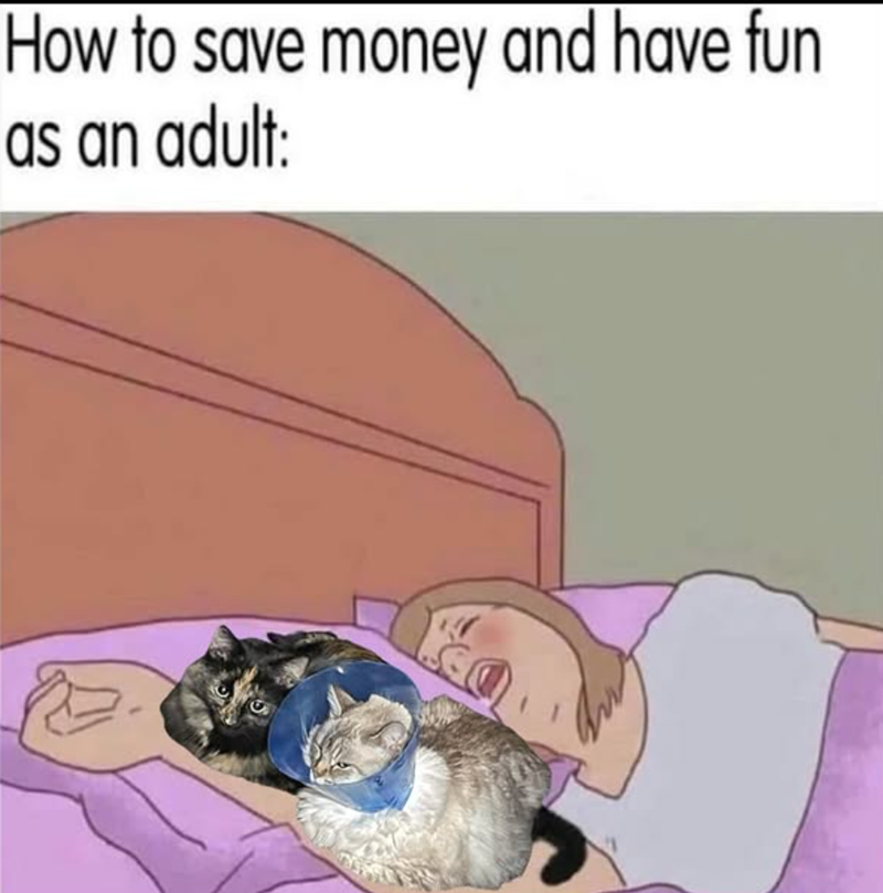How to save money and have fun as an adult: