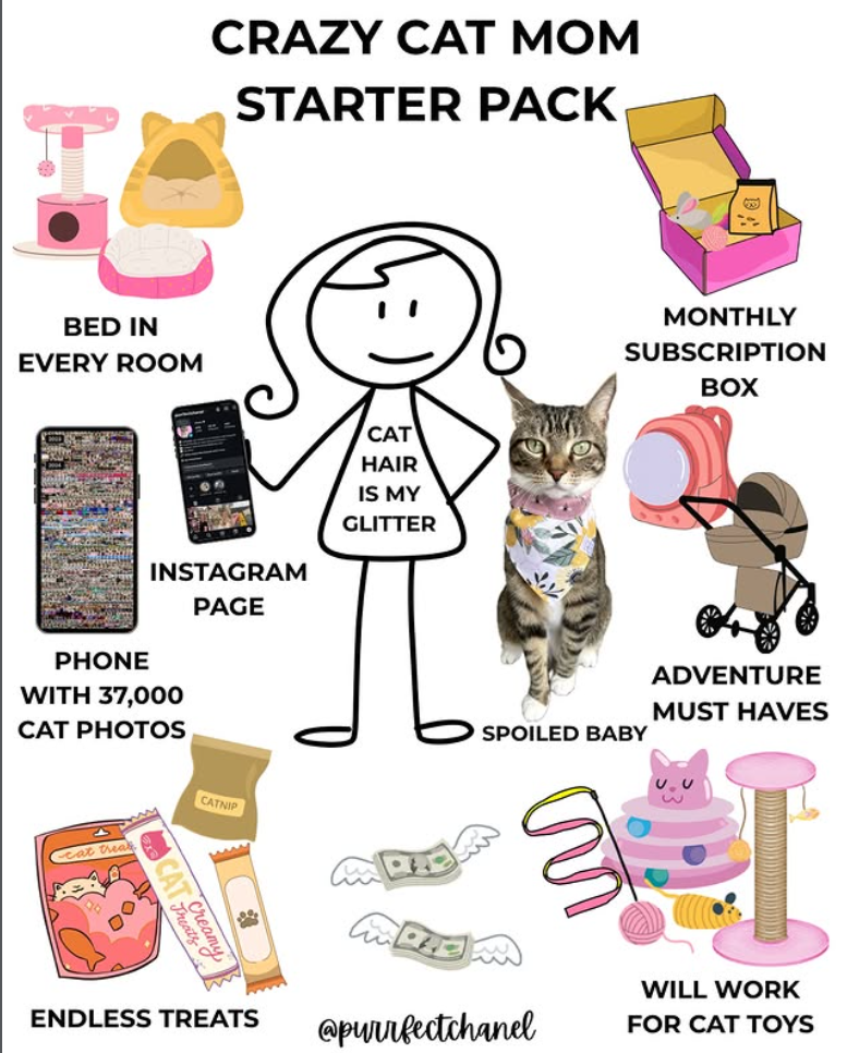 BED IN EVERY ROOM CRAZY CAT MOM STARTER PACK INSTAGRAM PAGE PHONE WITH 37,000 CAT PHOTOS cat treas CATNIP www CAT Creamy CAT HAIR IS MY GLITTER MONTHLY SUBSCRIPTION BOX SPOILED BABY M ADVENTURE MUST HAVES T ENDLESS TREATS @purrfectchanel WILL WORK FOR CAT TOYS