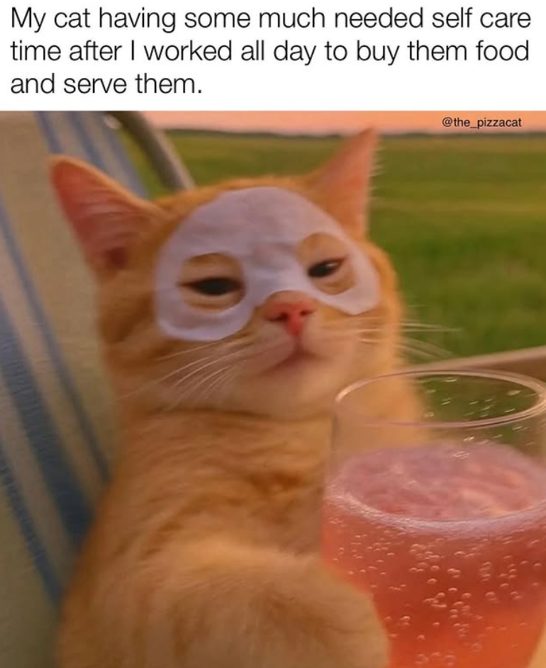 My cat having some much needed self care time after I worked all day to buy them food. and serve them. @the_pizzacat