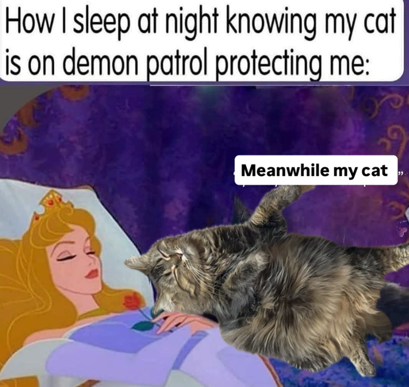 How I sleep at night knowing my cat is on demon patrol protecting me: Meanwhile my cat