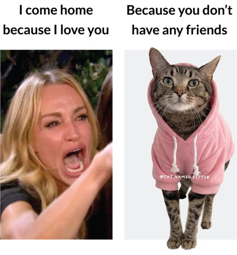 I come home because I love you Because you don't have any friends @CAT.NAMED.PEPPER