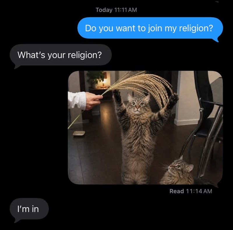 Today 11:11 AM Do you want to join my religion? What's your religion? I'm in Read 11:14 AM