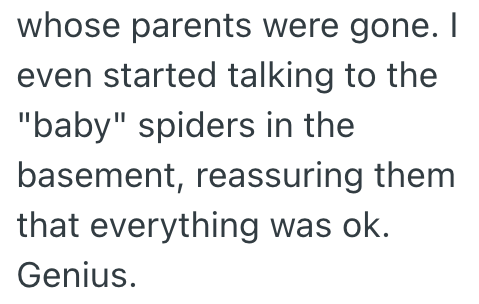 whose parents were gone. I even started talking to the "baby" spiders in the basement, reassuring them that everything was ok. Genius.
