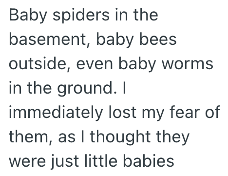 Baby spiders in the basement, baby bees outside, even baby worms in the ground. I immediately lost my fear of them, as I thought they were just little babies
