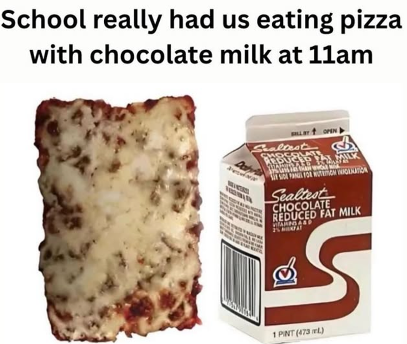 School really had us eating pizza with chocolate milk at 11am BILL BY OPEN Sealtest SHOCOLATE Dahr STAT KING REDUCED 37 LOSS FAT THAN WHOLE MISK MILK SLE SIDE PANEL FOR NUTRITION INFORMATION Sealtest CHOCOLATE REDUCED FAT MILK VITAMINS A&D 2% MILKFAT S 1 PINT (473 ml)