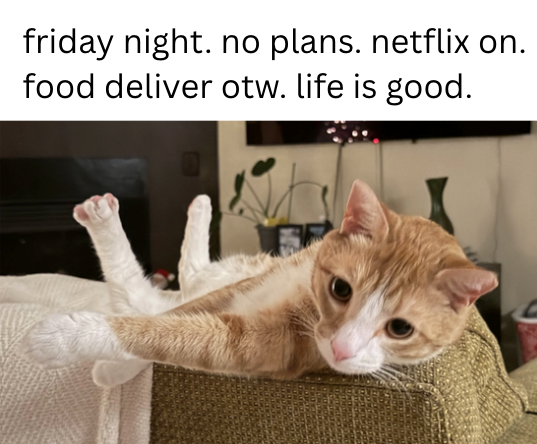 friday night. no plans. netflix on. food deliver otw. life is good.