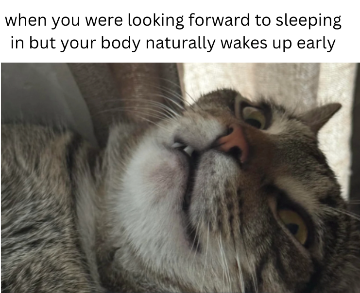 when you were looking forward to sleeping in but your body naturally wakes up early
