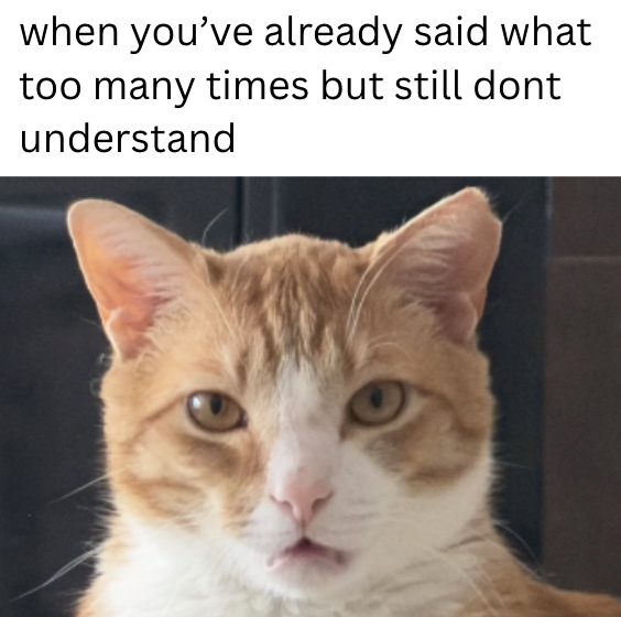 when you've already said what too many times but still dont understand