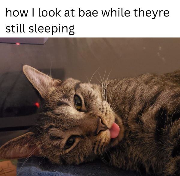 how I look at bae while theyre still sleeping