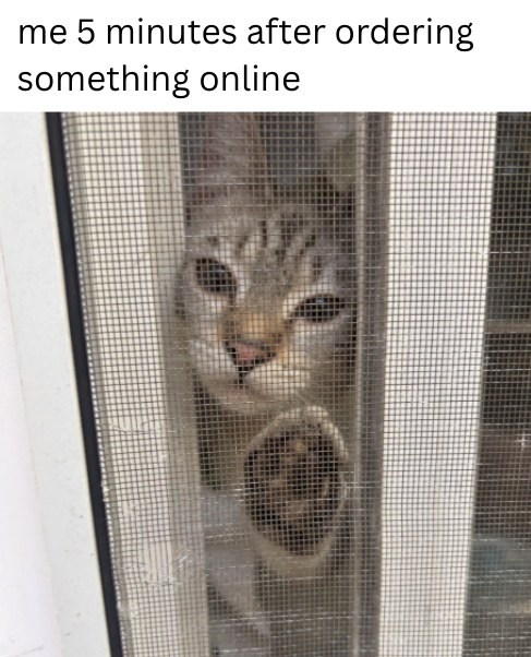 me 5 minutes after ordering something online