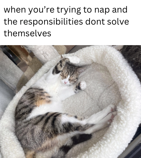 when you're trying to nap and the responsibilities dont solve themselves