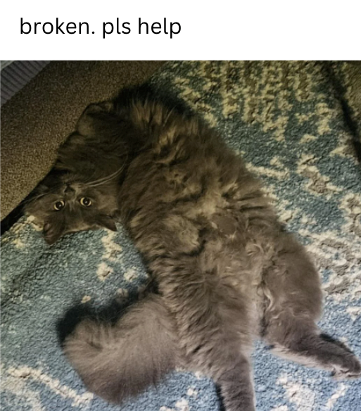 broken. pls help