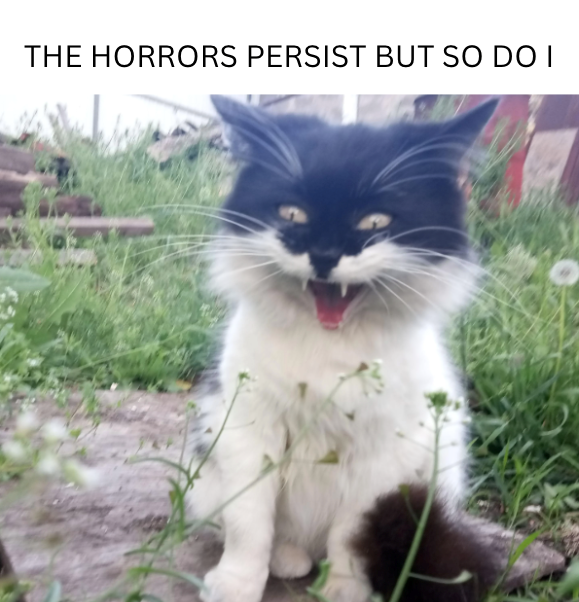 THE HORRORS PERSIST BUT SO DO I