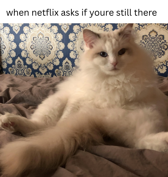 when netflix asks if youre still there