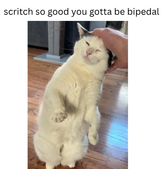 scritch so good you gotta be bipedal