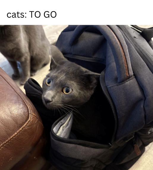 cats: TO GO