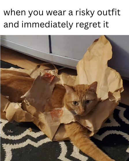 when you wear a risky outfit and immediately regret it