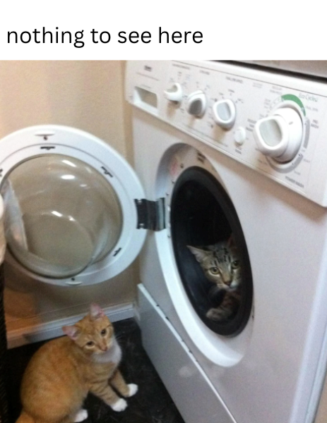 nothing to see here