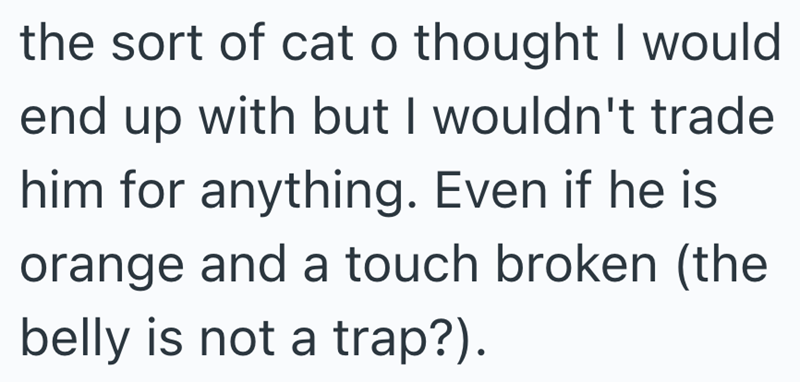 the sort of cat o thought I would end up with but I wouldn't trade. him for anything. Even if he is orange and a touch broken (the belly is not a trap?).